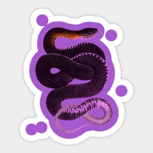 serpent,cobra,reptile,viper,venom,lizard,rattlesnake,king cobra,dragon,hydra,poison,venomous,plumber's snake,pythonidae,pythons,auger,python,squamata,serpentine,worm,big,ophidian,rattlesnakes,medusa,snakebite Sticker